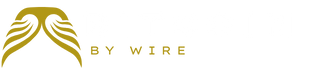 Buy Bitcoin By Wire Logo